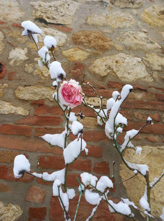 Agriturismo Ardene Βίλα Montepulciano Stazione Εξωτερικό φωτογραφία